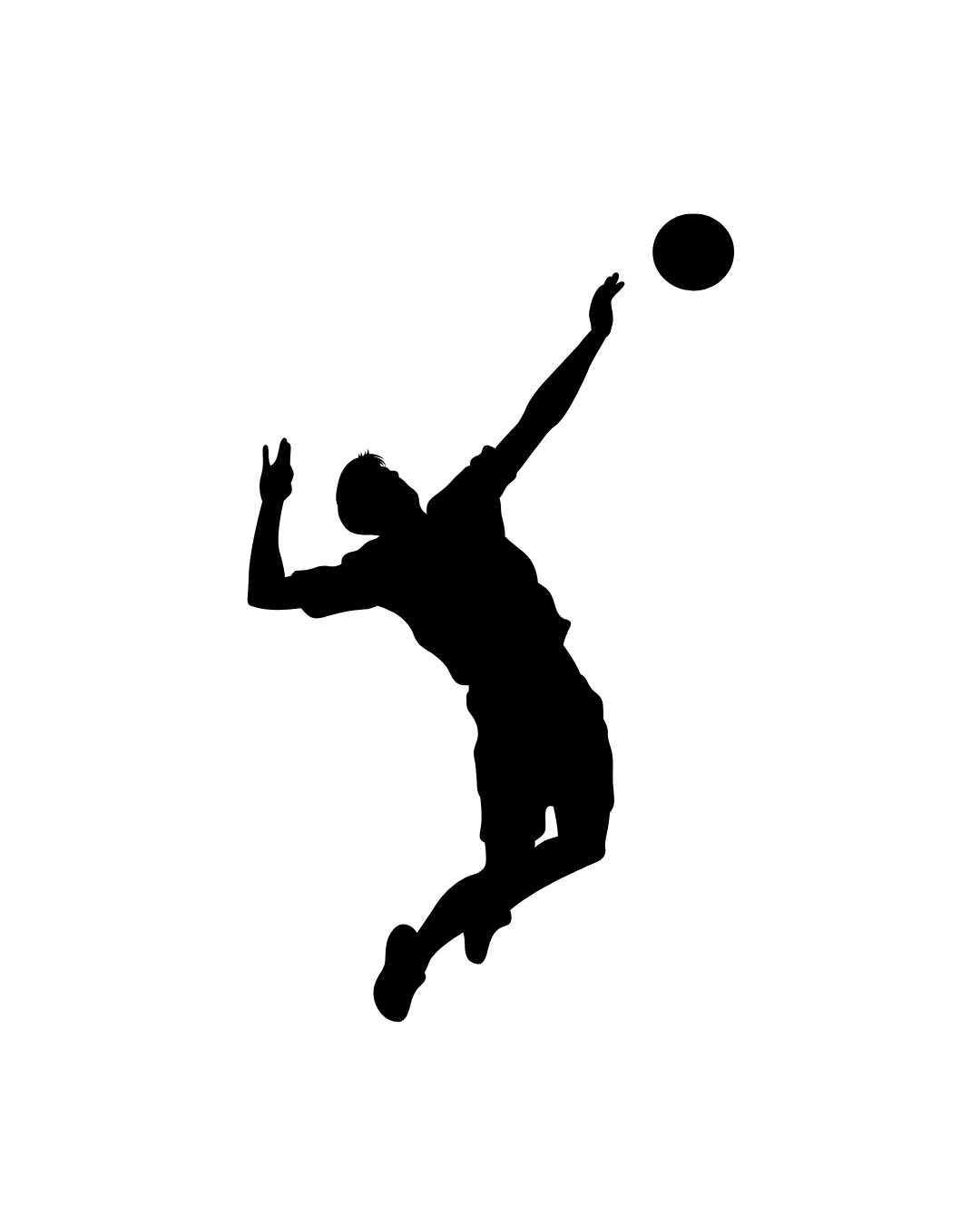 VÔLEI